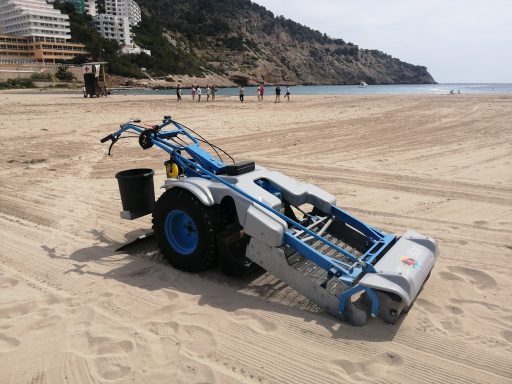 proyecto junto al ayuntamiento 